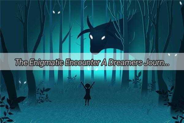 The Enigmatic Encounter A Dreamers Journey with an Elderly Stranger on the Road to SelfDiscovery